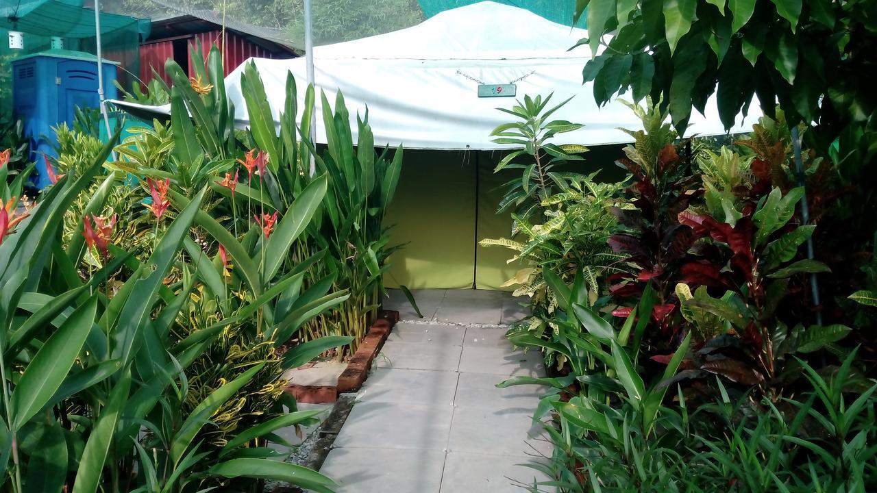 Villa T Garden à Pantai Cenang  Extérieur photo