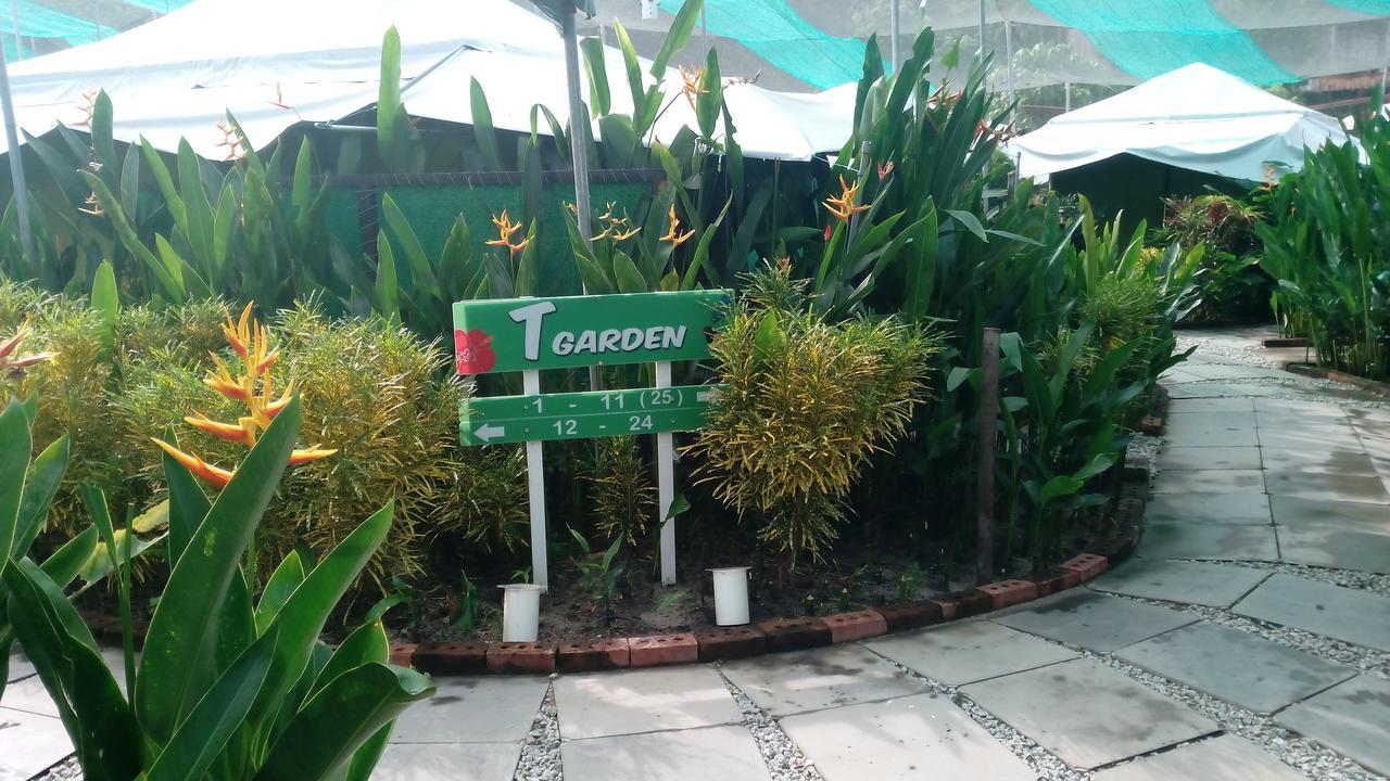 Villa T Garden à Pantai Cenang  Extérieur photo